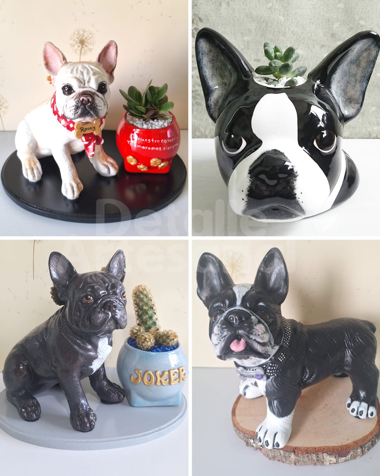 Boston Terrier - Bulldog Francés