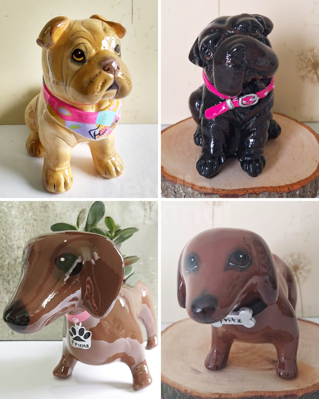 Dachshund - Shar Pei