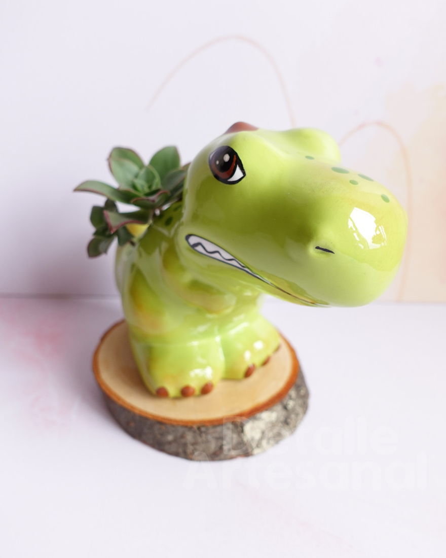 Dino Infantil Matera